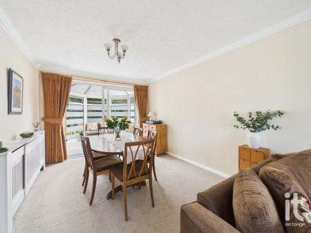 Photograph 22