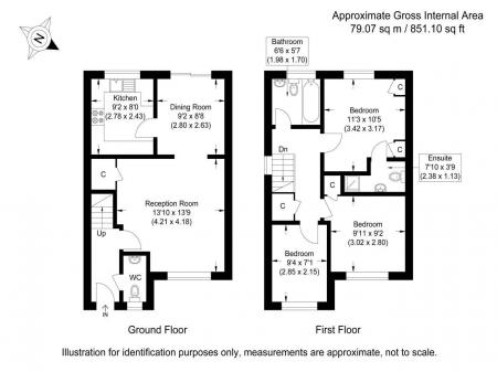 Redwing-Rise-Model-01
