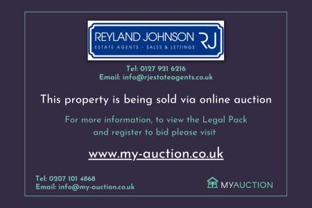 my auction image for marketing.png