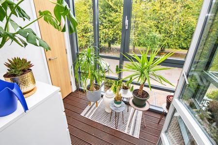 SunRoom.png
