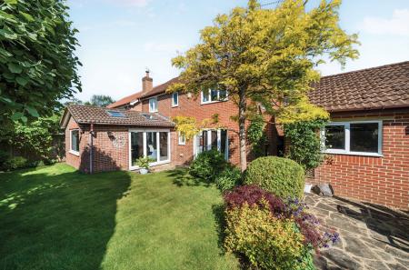 6-68245b635b5be-1...