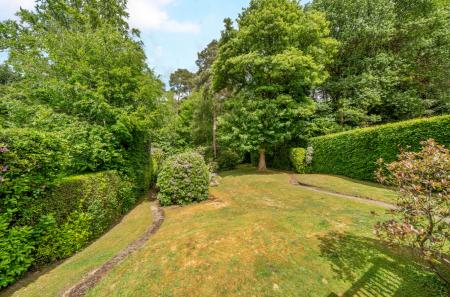 1296068-3-68370b1...