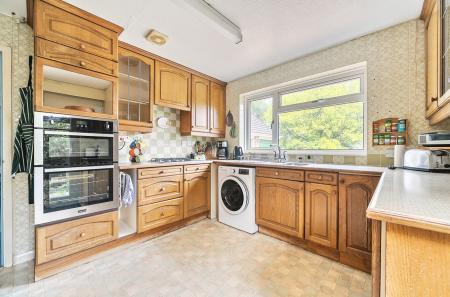 1309972-16-684aad...