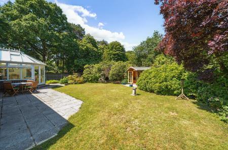 1311936-7-68546f4...