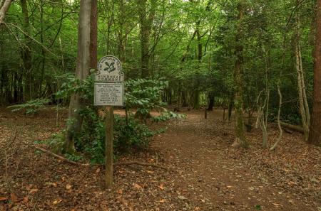 1309053-2-6855c05...