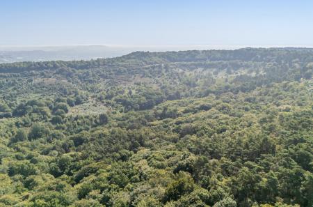 1334632-10-689b3b...