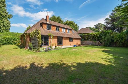 1334867-36-689605...