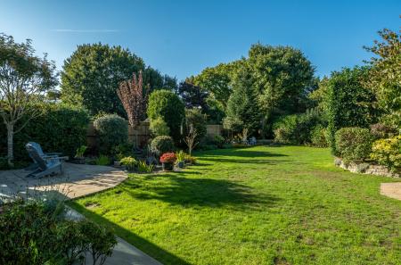 1353792-24-68ce90...