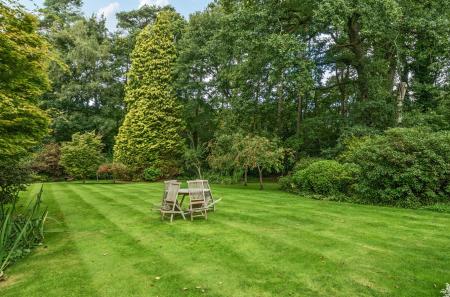 1347022-3-68c4478...