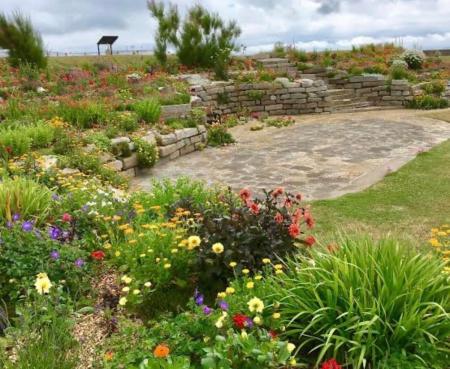 canute road deal.jpg