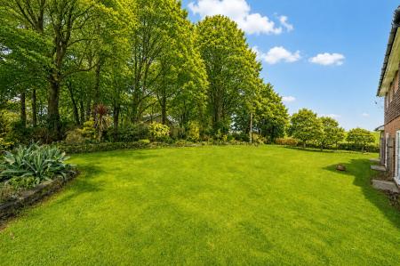 garden shot 1.jpg