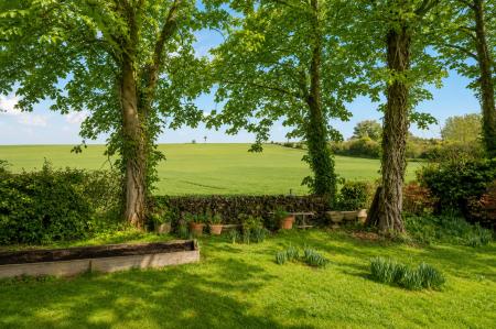 garden shot 2.jpg