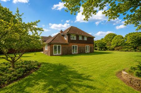 garden shot 6.jpg