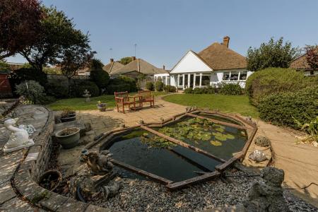 garden 5.jpg