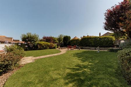 garden 4.jpg