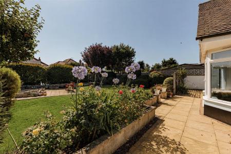 garden 2.jpg