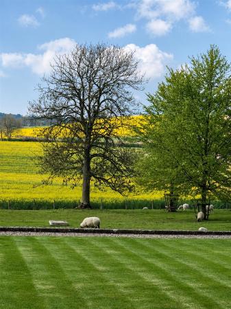 Manor House and Country Estate