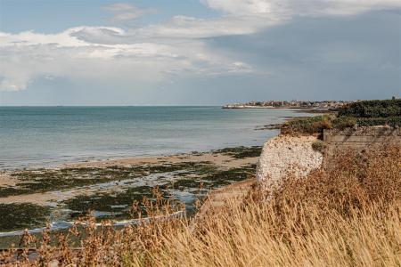 L J Imaging-30.jpg