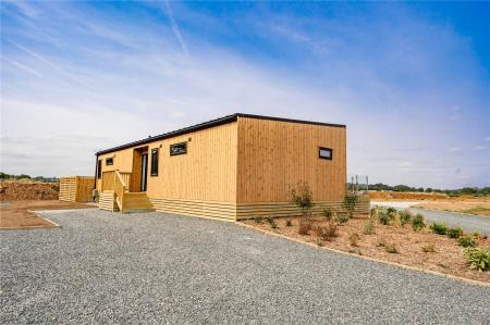 External