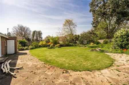 Garden (2)