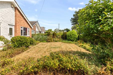 Front Garden (2)