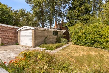 Rear Garden (2)