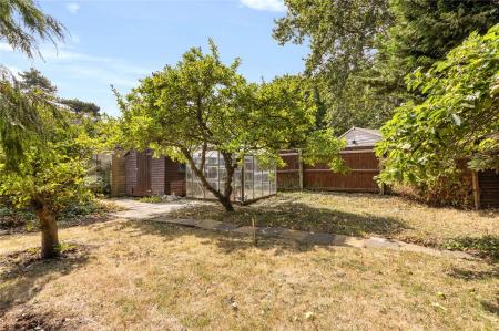 Rear Garden (8)