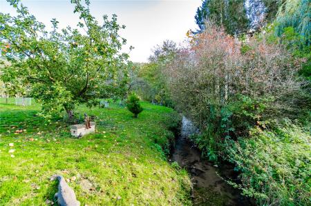 Garden (5)