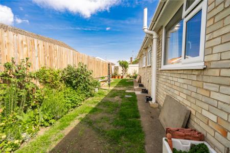 Rear Garden (2)