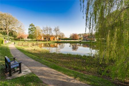 Village Pond