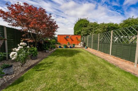 Garden (2)
