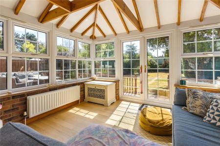 Sun Room (2)