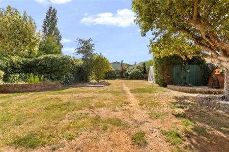 Garden (3)