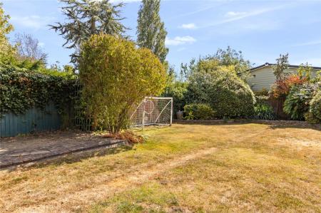 Garden (6)