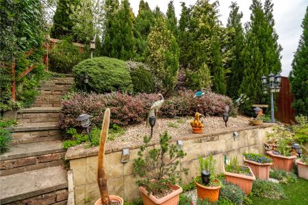 Garden (3)