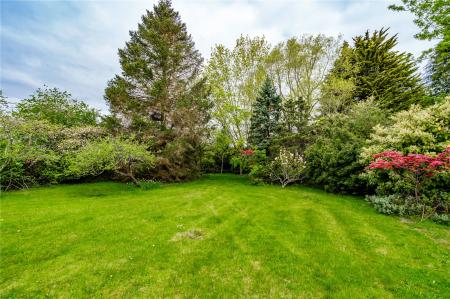 Garden (2)