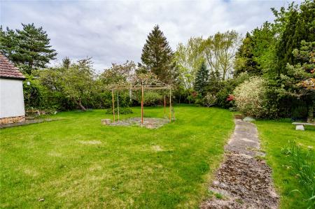 Garden (2)