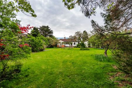 Garden (3)