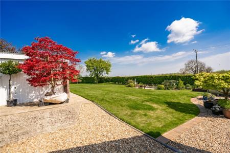 Garden (11)