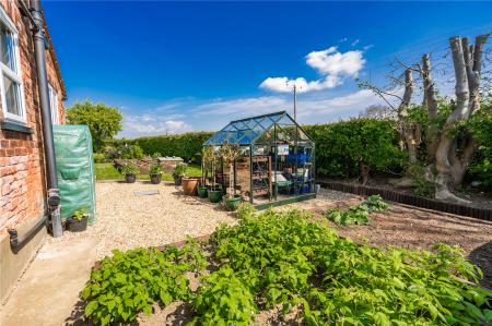 Garden (4)
