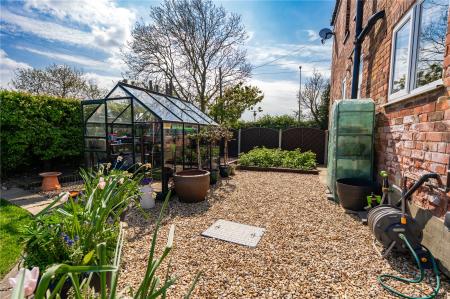 Garden (5)