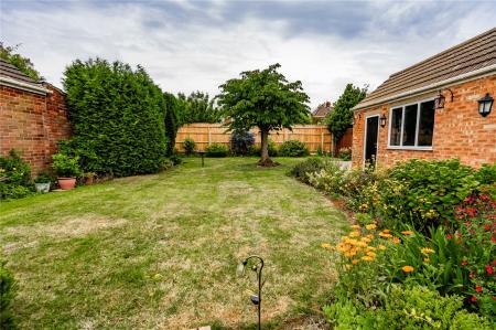 Garden (2)