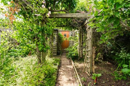 Garden (3)