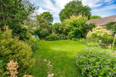 Garden (4)