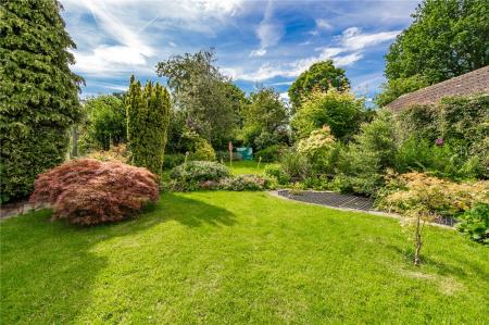 Garden (2)