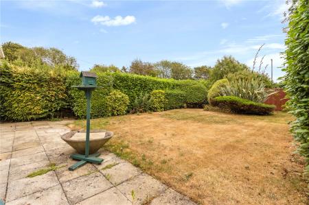 Garden (3)