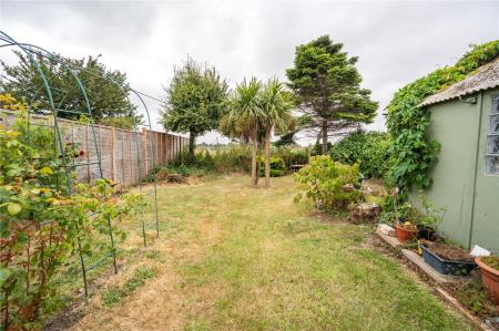 Garden (2)