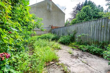 Garden (2)
