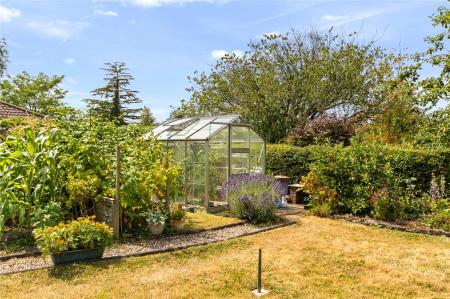 Garden (3)