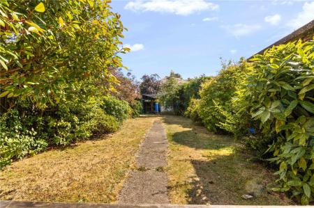 Garden (2)